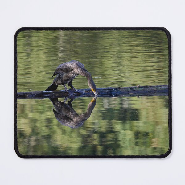 Item preview, Tasting the waters. Great cormorant designed and sold by Jouko Lehto Photography.
