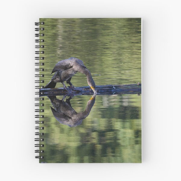 Item preview, Tasting the waters. Great cormorant designed and sold by Jouko Lehto Photography.