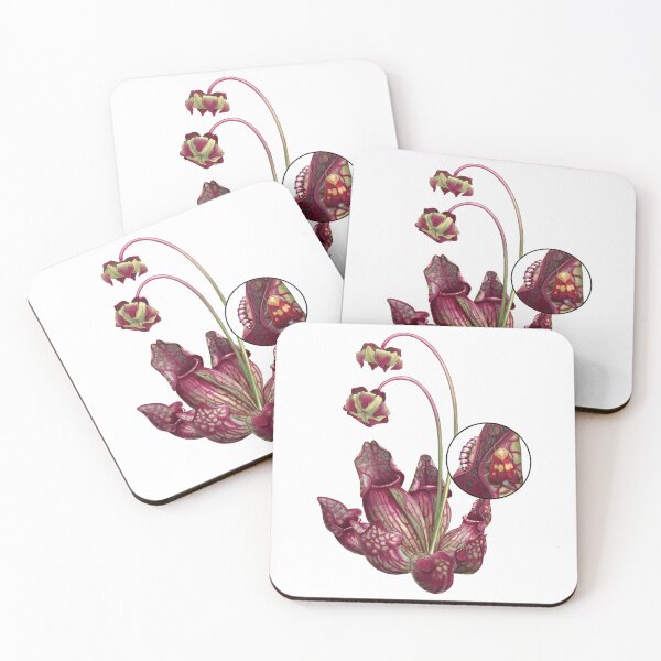 Item preview, Purple Pitcher Plant and Pitcher Plant Moth designed and sold by JadaFitch.