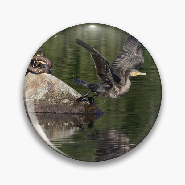 Item preview, Off the rock. Great cormorant designed and sold by Jouko Lehto Photography.