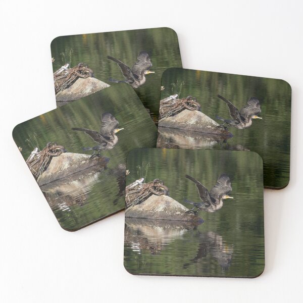 Item preview, Off the rock. Great cormorant designed and sold by Jouko Lehto Photography.