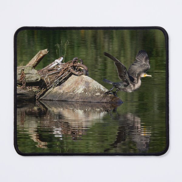 Item preview, Off the rock. Great cormorant designed and sold by Jouko Lehto Photography.