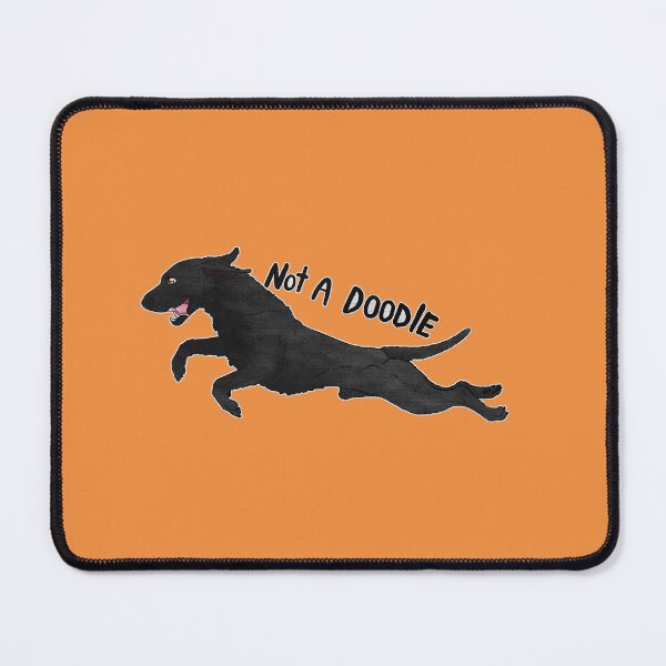 Item preview, Not a doodle - Black Curly Coated Retriever designed and sold by Sparklepupfaeri.