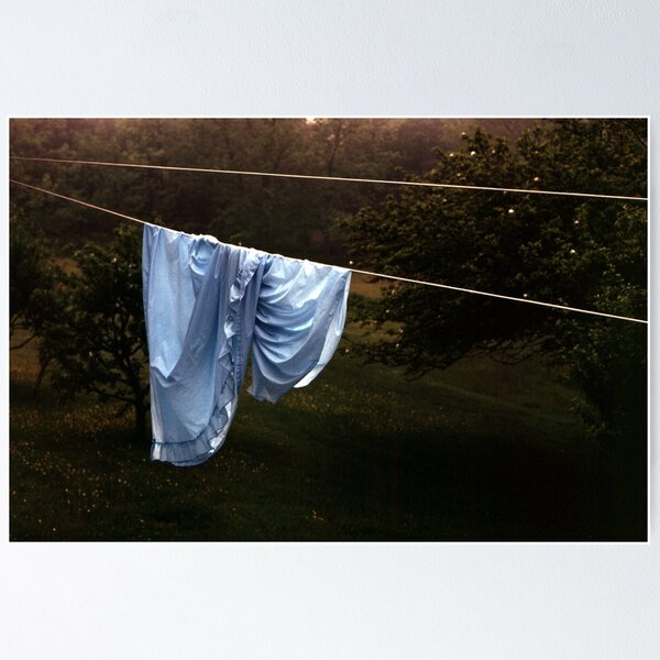Item preview, The Blue Sheet designed and sold by Wayne King.