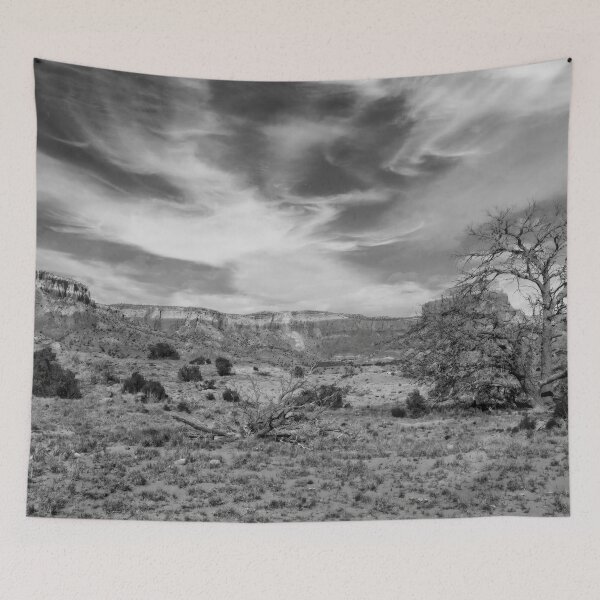 Item preview, Ghost Ranch In Black and White designed and sold by Kay Brewer.