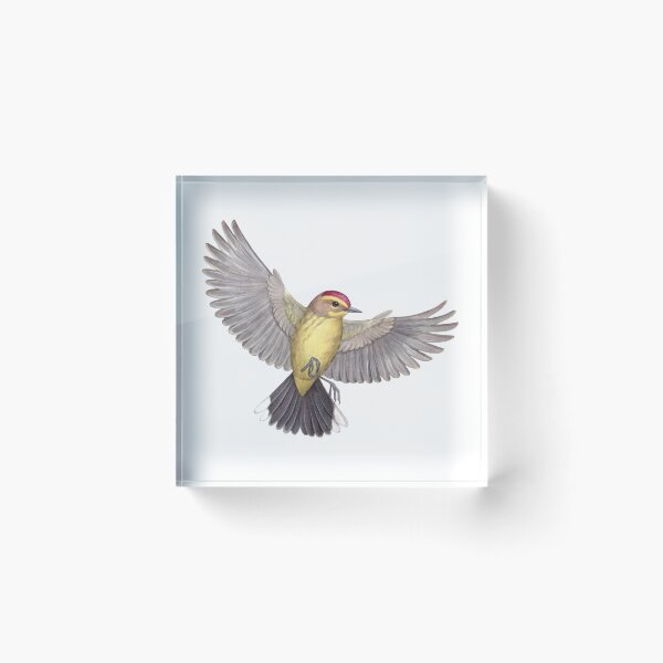 Item preview, Palm Warbler designed and sold by JadaFitch.