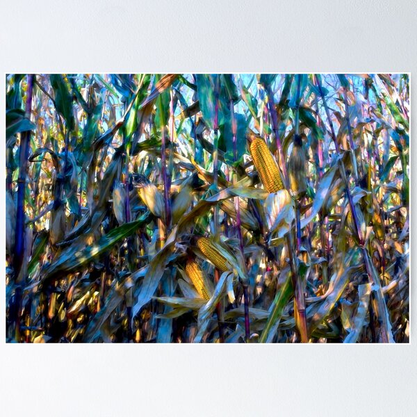 Item preview, The Colors of Corn designed and sold by Wayne King.
