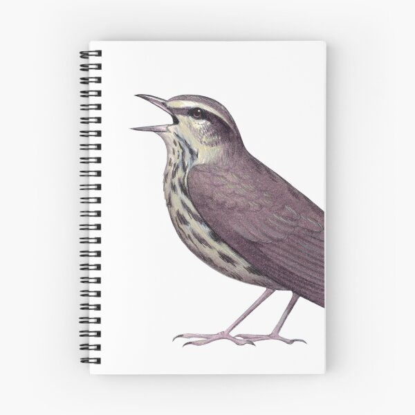 Item preview, Northern Waterthrush designed and sold by JadaFitch.