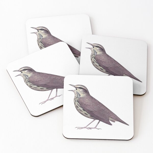 Item preview, Northern Waterthrush designed and sold by JadaFitch.