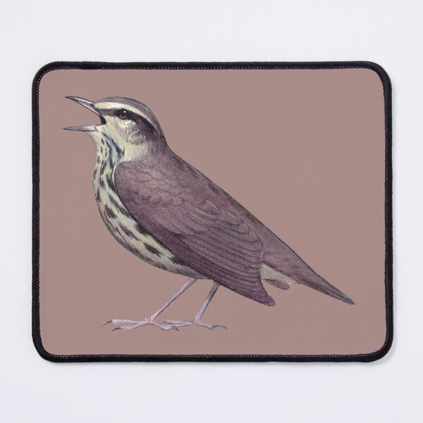 Item preview, Northern Waterthrush designed and sold by JadaFitch.