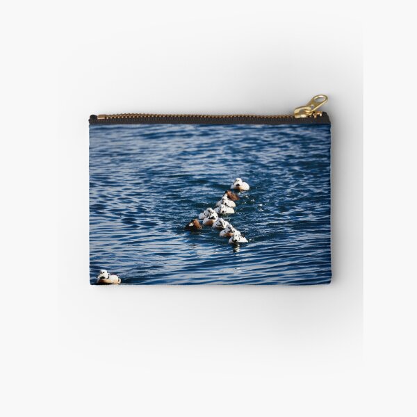 Item preview, Spotted Duck (Polysticta stelleri) designed and sold by Andreas Koerner.