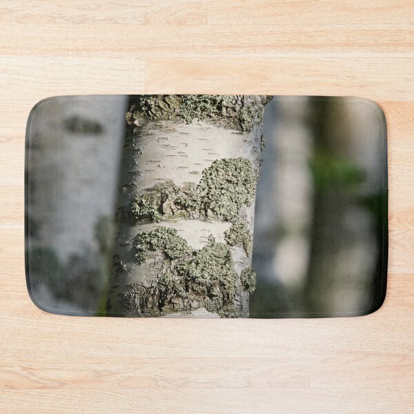 Item preview, Birch forest. 2025 designed and sold by Jouko Lehto Photography.