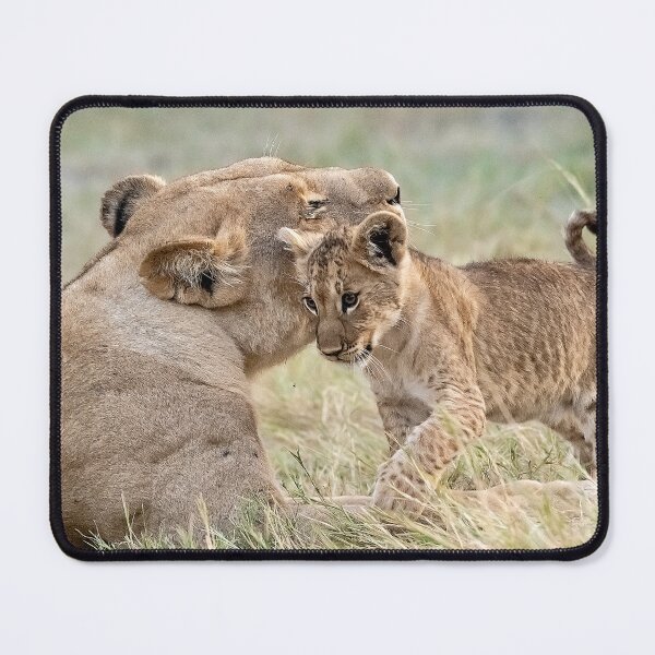 Item preview, A Quiet Nuzzle — Lioness & Cub, khwai designed and sold by DavideAntoniani.