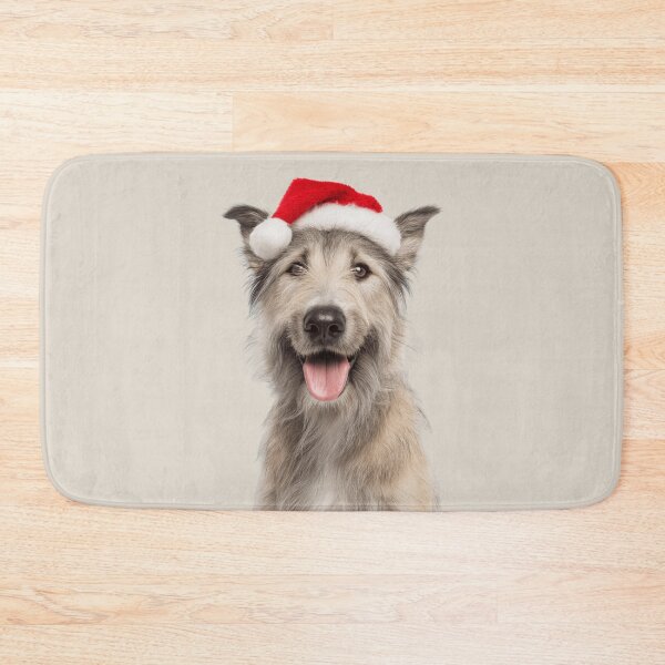 Item preview, Cute Berger Picard Christmas Art — Berger Picard Wearing Santa Hat designed and sold by LazyOwlStore.
