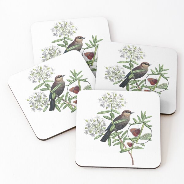 Item preview, Rusty Blackbird in Bog Labrador Tea with a Brown Elfin designed and sold by JadaFitch.