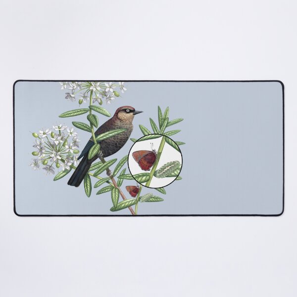 Item preview, Rusty Blackbird in Bog Labrador Tea with a Brown Elfin designed and sold by JadaFitch.