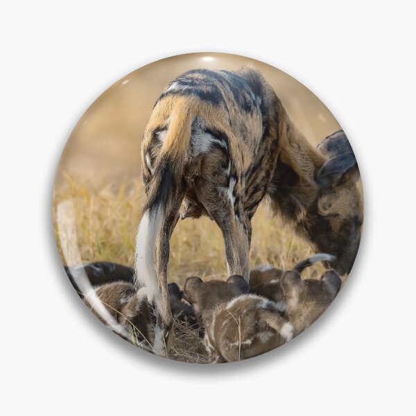 Item preview, Circle of care, wild dog mother with her pups at dusk designed and sold by DavideAntoniani.