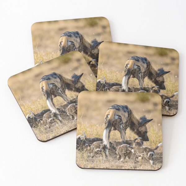 Item preview, Circle of care, wild dog mother with her pups at dusk designed and sold by DavideAntoniani.