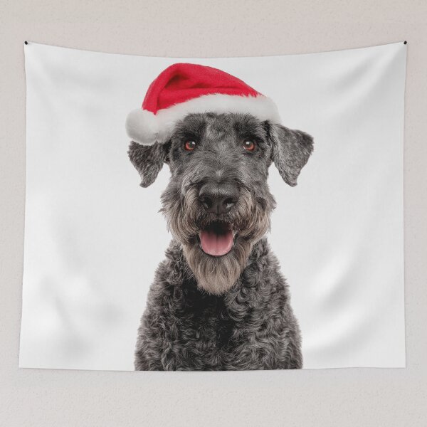 Item preview, Cute Kerry Blue Terrier Christmas Art — Kerry Blue Terrier Wearing Santa Hat designed and sold by LazyOwlStore.