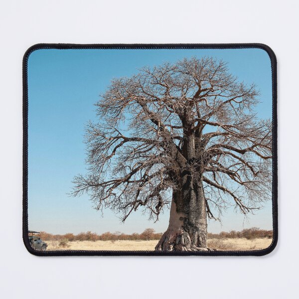 Item preview, Keeper of the Savanna — Ancient Baobab designed and sold by DavideAntoniani.