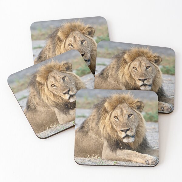 Item preview, Sekoti of Savuti — Quiet Power at Rest designed and sold by DavideAntoniani.