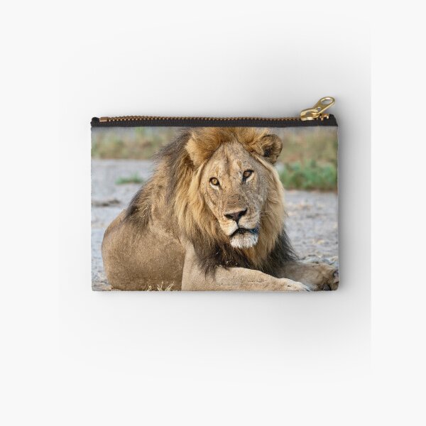 Item preview, Sekoti of Savuti — Quiet Power at Rest designed and sold by DavideAntoniani.