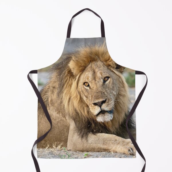 Item preview, Sekoti of Savuti — Quiet Power at Rest designed and sold by DavideAntoniani.