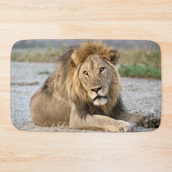 Item preview, Sekoti of Savuti — Quiet Power at Rest designed and sold by DavideAntoniani.
