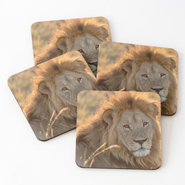 Item preview, Waziba, Lion of Savuti at Sunset designed and sold by DavideAntoniani.