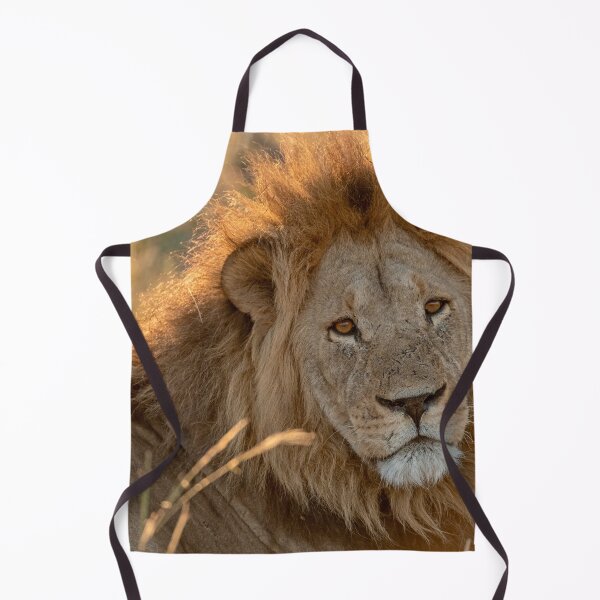 Item preview, Waziba, Lion of Savuti at Sunset designed and sold by DavideAntoniani.