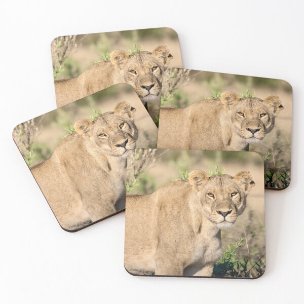 Item preview, Steady Fire — Lioness Portrait with Direct Gaze, Moremi designed and sold by DavideAntoniani.