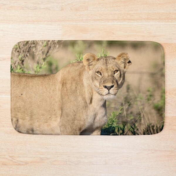Item preview, Steady Fire — Lioness Portrait with Direct Gaze, Moremi designed and sold by DavideAntoniani.