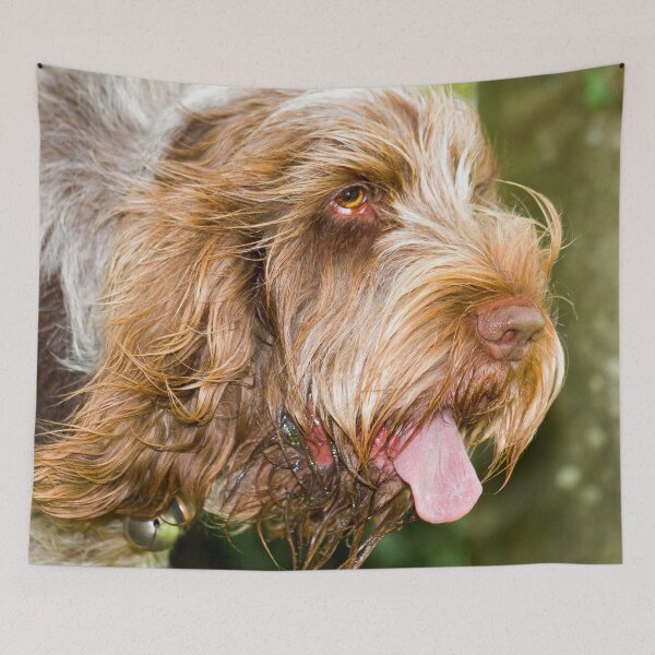 Item preview, Tongue out Spinone designed and sold by FOLK ART FUSION by heidiannemorris.