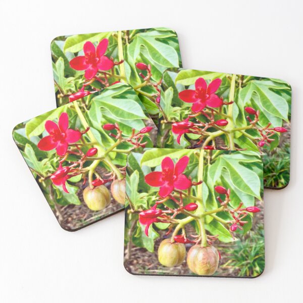Item preview, Peregrina Blossoms by Pamela Storch designed and sold by Pamela Storch.