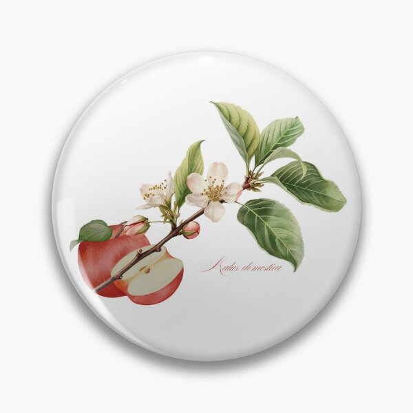 Artikelvorschau, Apfel (Malus domestica) | Botanische Illustration eines blühenden Zweigs und einer Frucht entworfen und verkauft von ChristinePartlow.