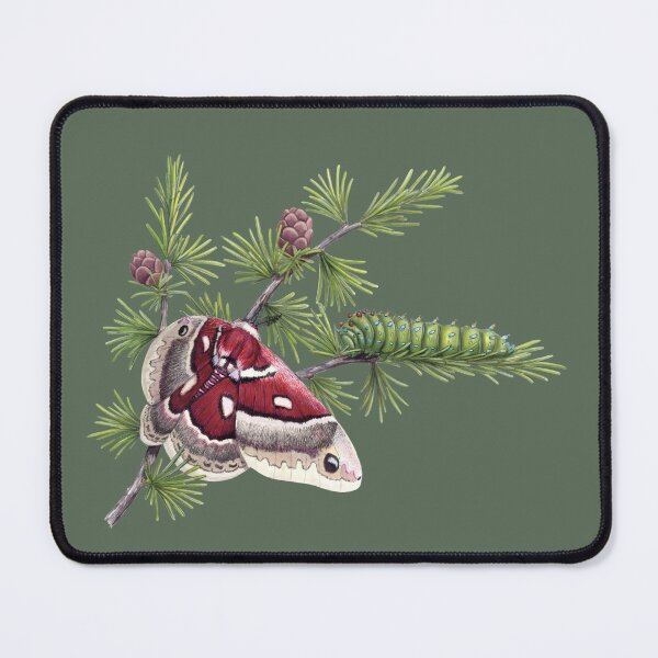 Item preview, Columbia Silk Moth on a Tamarack  designed and sold by JadaFitch.