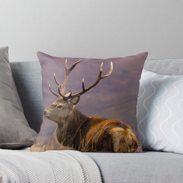 Item preview, Ten Point Stag in Autumn designed and sold by derekbeattie.