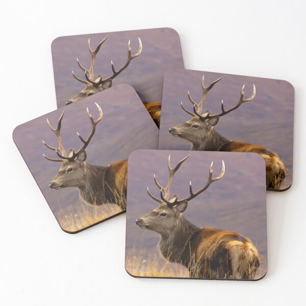 Item preview, Ten Point Stag in Autumn designed and sold by derekbeattie.