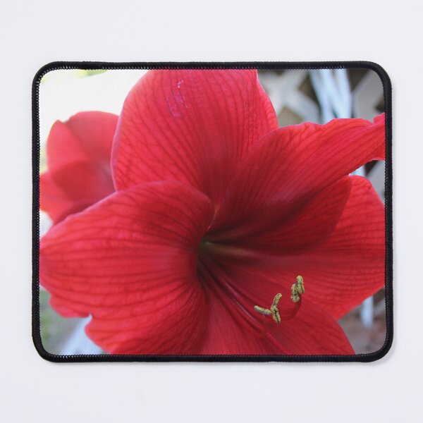 Item preview, Pretty Red Flower designed and sold by Carolyn Ricks.