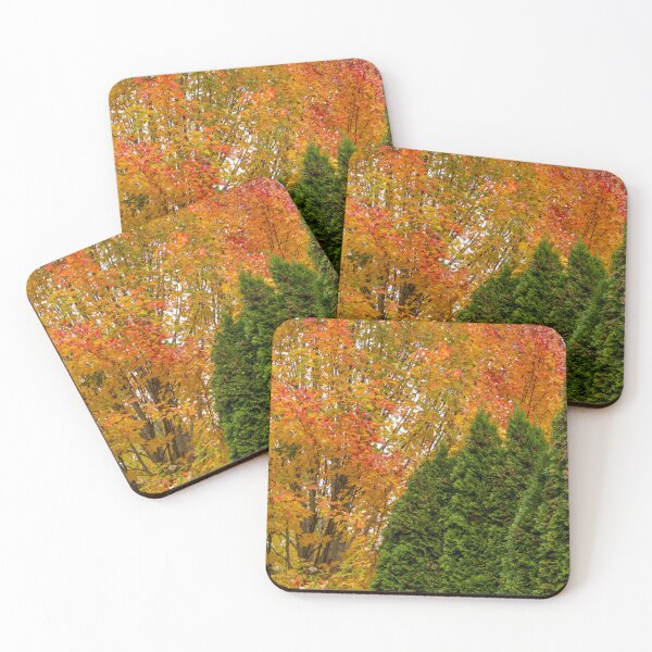 Item preview, Autumn leaves with a row of evergreens in the foreground designed and sold by lisavonbiela.