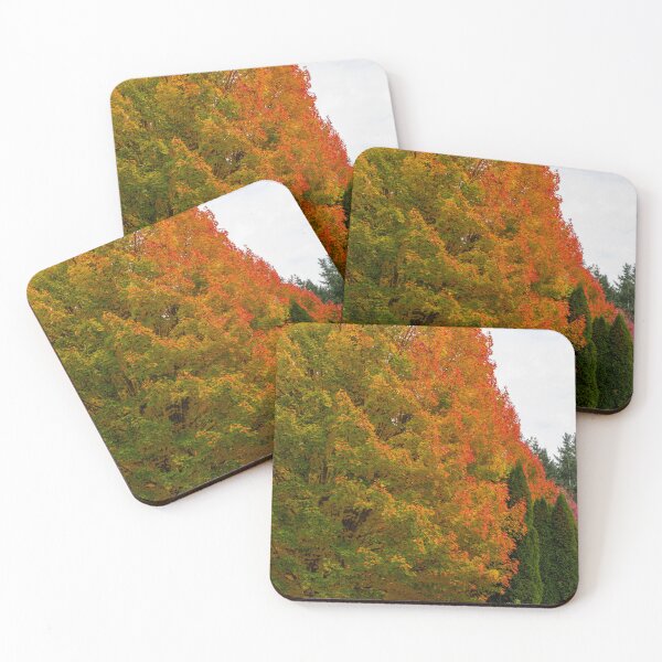 Item preview, Maple tree blushing with fall color designed and sold by lisavonbiela.