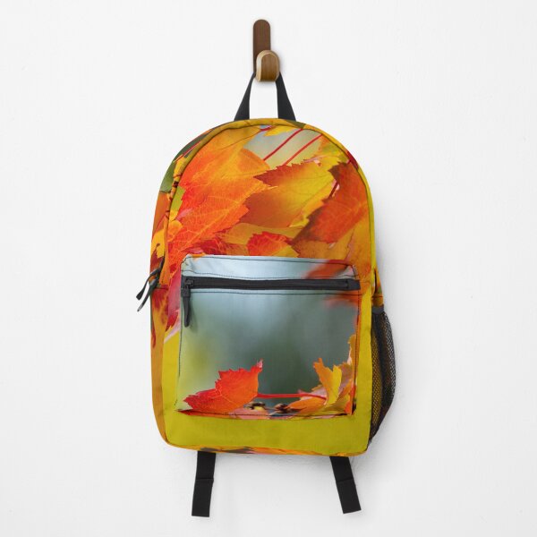 Item preview, Backlit scarlet-tipped maple leaves designed and sold by lisavonbiela.