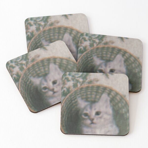 Item preview, kitty by persian chinchilla. designed and sold by Valgasnews011.