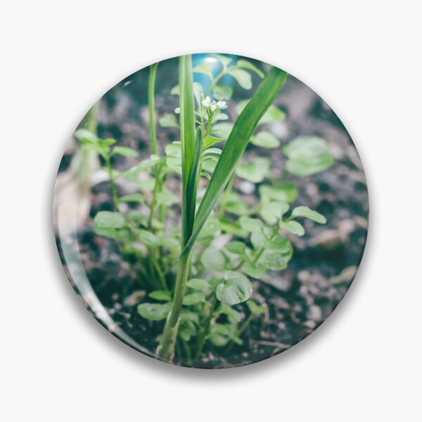 Item preview, First Shoots of Spring: Fresh Green Seedlings Emerging from Rich Earth designed and sold by MDB_Shop.