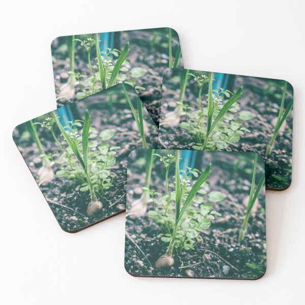 Item preview, First Shoots of Spring: Fresh Green Seedlings Emerging from Rich Earth designed and sold by MDB_Shop.
