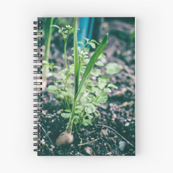 Item preview, First Shoots of Spring: Fresh Green Seedlings Emerging from Rich Earth designed and sold by MDB_Shop.
