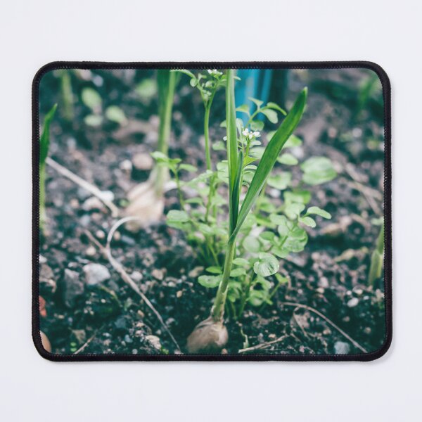 Item preview, First Shoots of Spring: Fresh Green Seedlings Emerging from Rich Earth designed and sold by MDB_Shop.