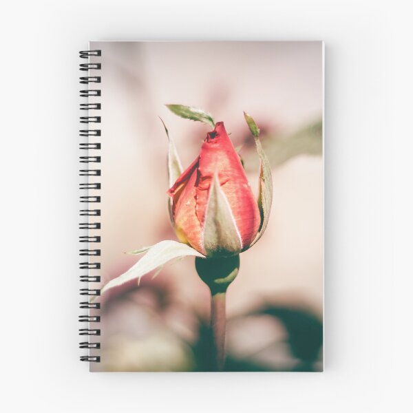 Item preview, Romantic Red Rose Bud Photography with Soft Bokeh Effect designed and sold by MDB_Shop.