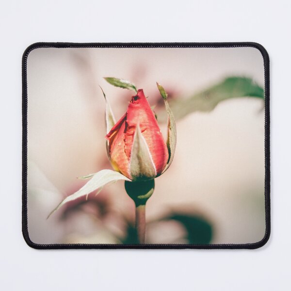 Item preview, Romantic Red Rose Bud Photography with Soft Bokeh Effect designed and sold by MDB_Shop.