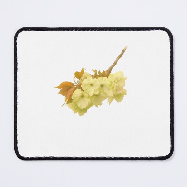 Item preview, Ukon (Prunus serrulata ‘Ukon’) designed and sold by HOMETOWN86.
